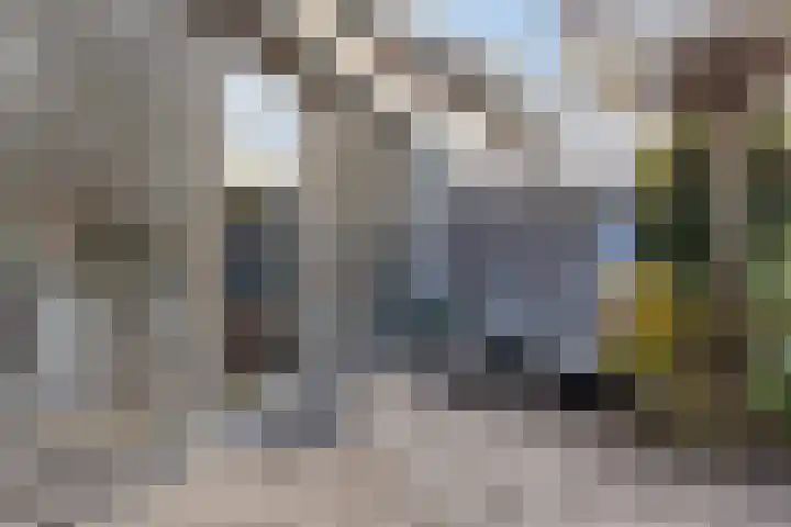 van Wassenhovestraat 25 Eindhoven thumbnail 27