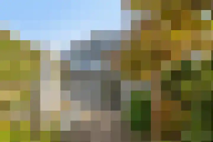 van Wassenhovestraat 25 Eindhoven thumbnail 30