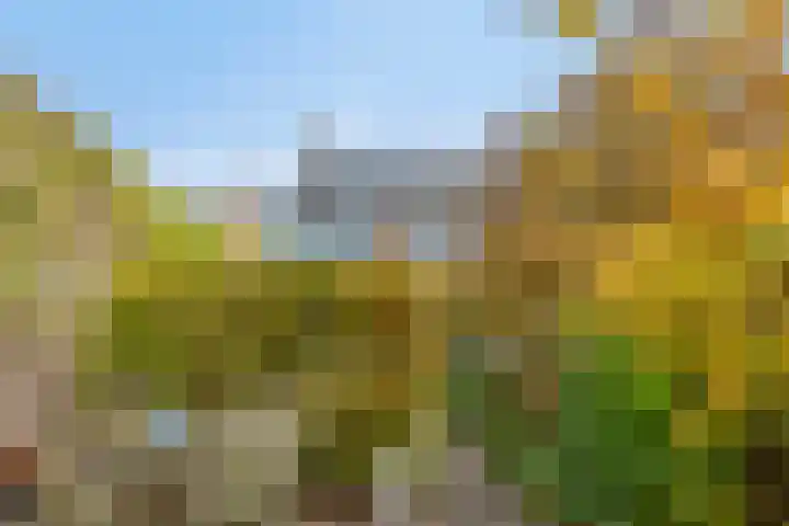 van Wassenhovestraat 25 Eindhoven thumbnail 31