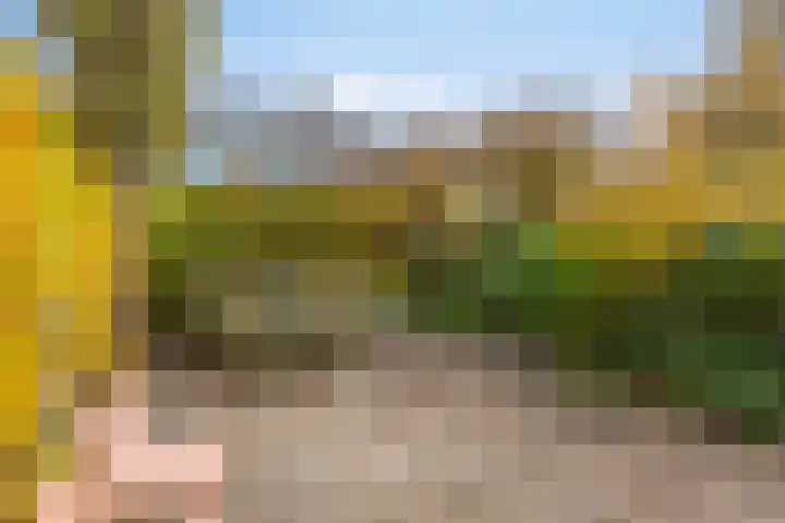 van Wassenhovestraat 25 Eindhoven thumbnail 32