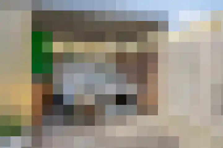 van Wassenhovestraat 25 Eindhoven thumbnail 33