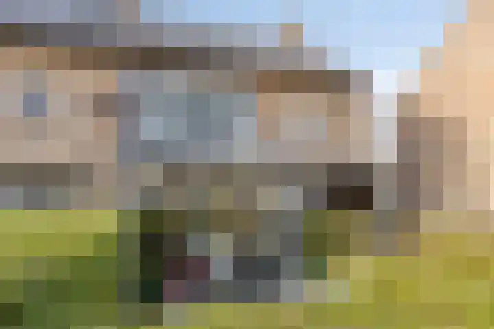 van Wassenhovestraat 25 Eindhoven thumbnail 38