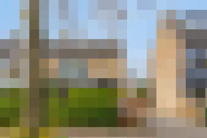 van Wassenhovestraat 25 Eindhoven thumbnail 39