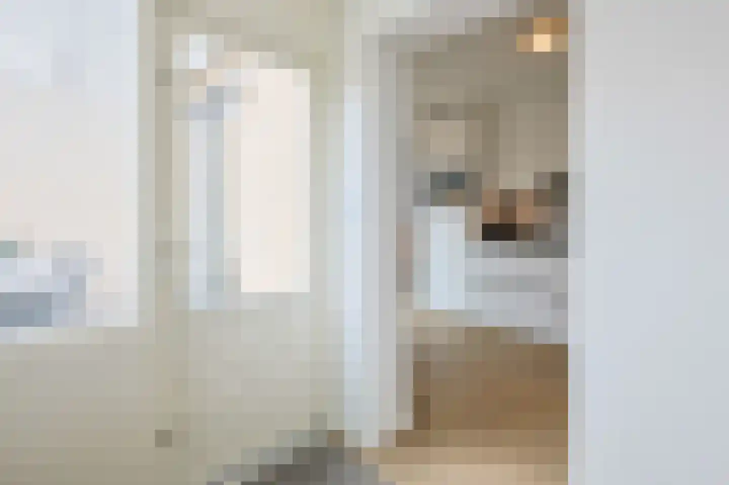 van Wassenhovestraat 52 Eindhoven thumbnail 23