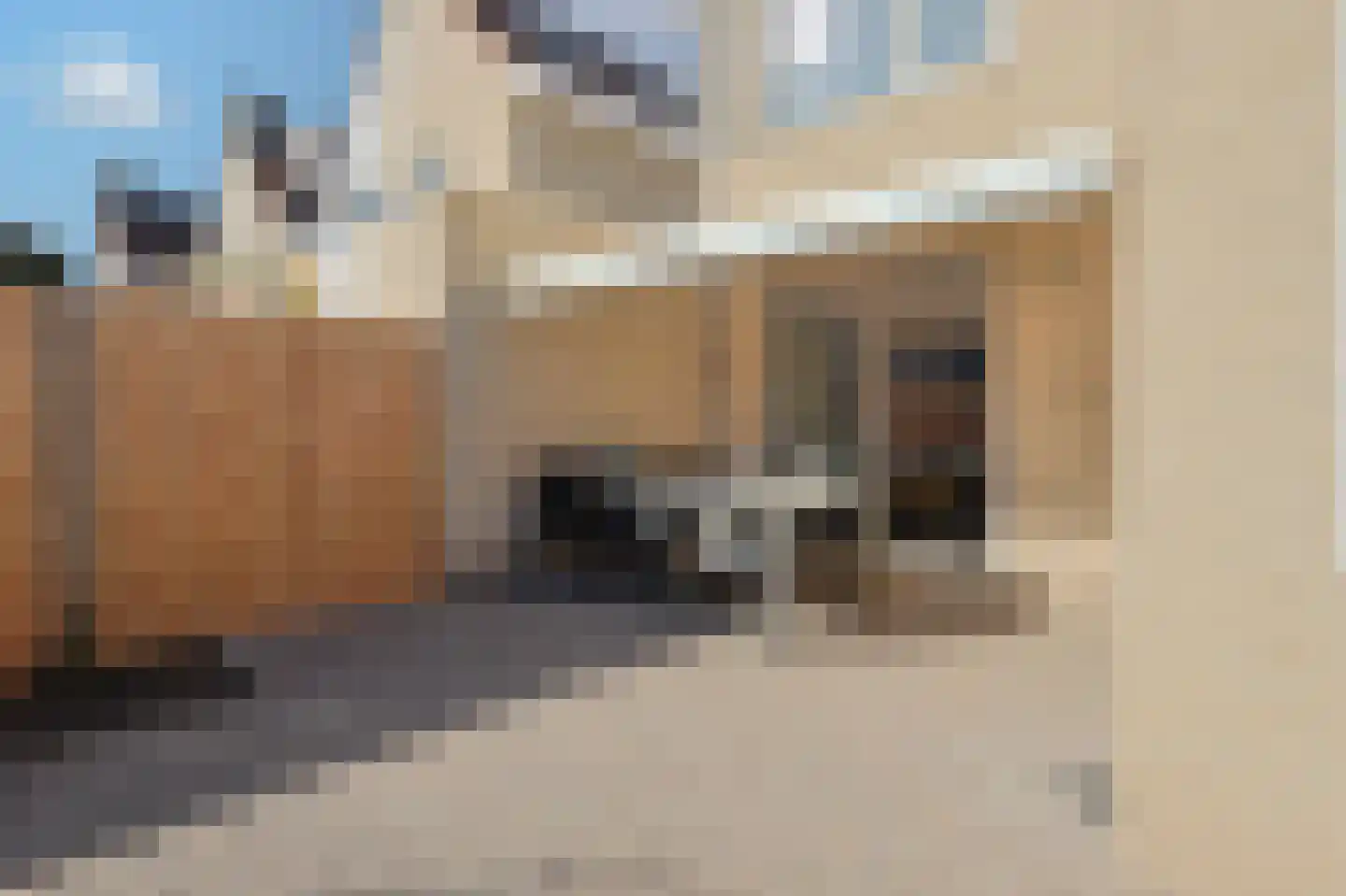 van Wassenhovestraat 52 Eindhoven thumbnail 30