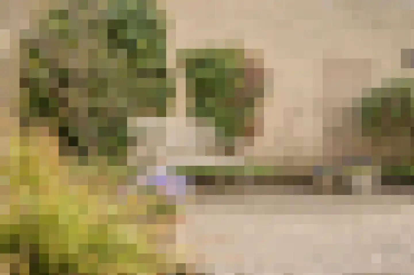 van Wassenhovestraat 52 Eindhoven thumbnail 32