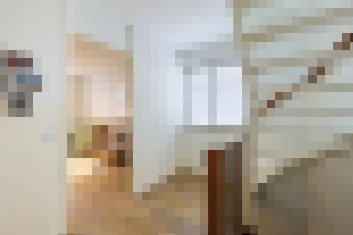 van Wassenhovestraat 52 Eindhoven thumbnail 35