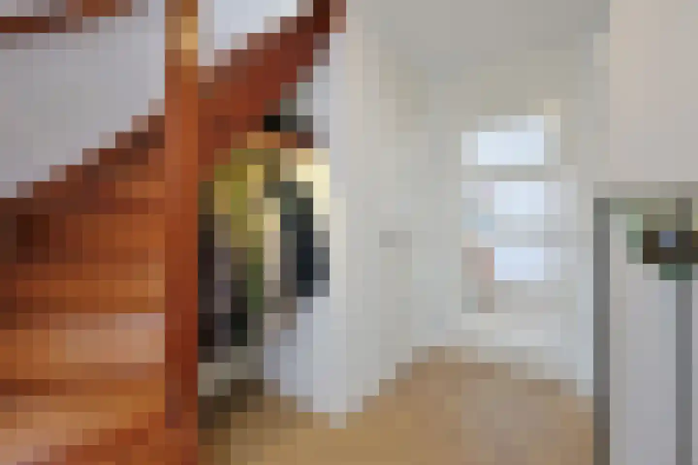 van Wassenhovestraat 52 Eindhoven thumbnail 4