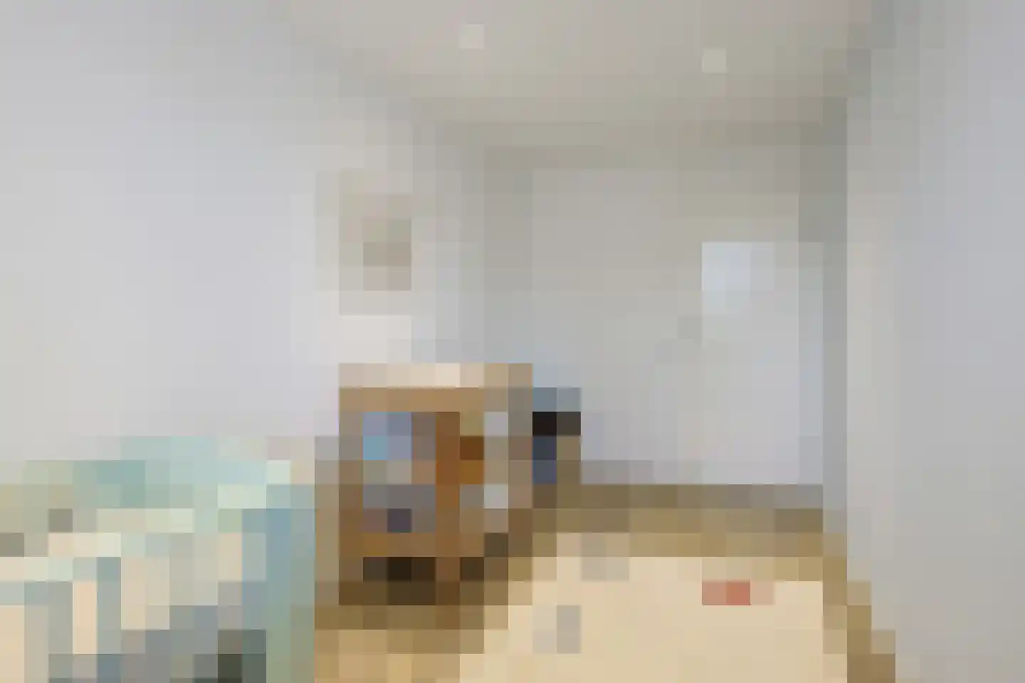 van Wassenhovestraat 52 Eindhoven thumbnail 41