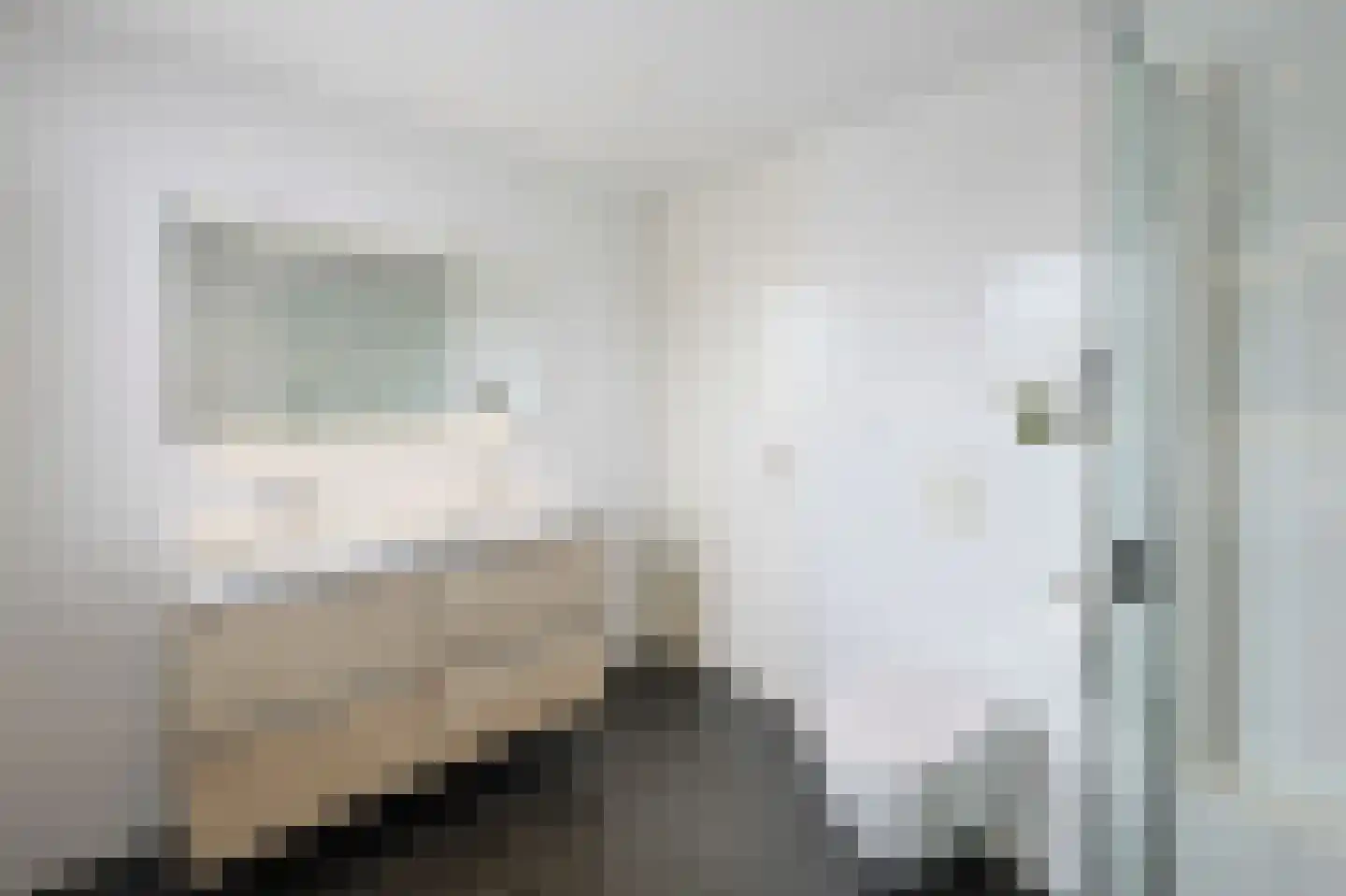 van Wassenhovestraat 52 Eindhoven thumbnail 48