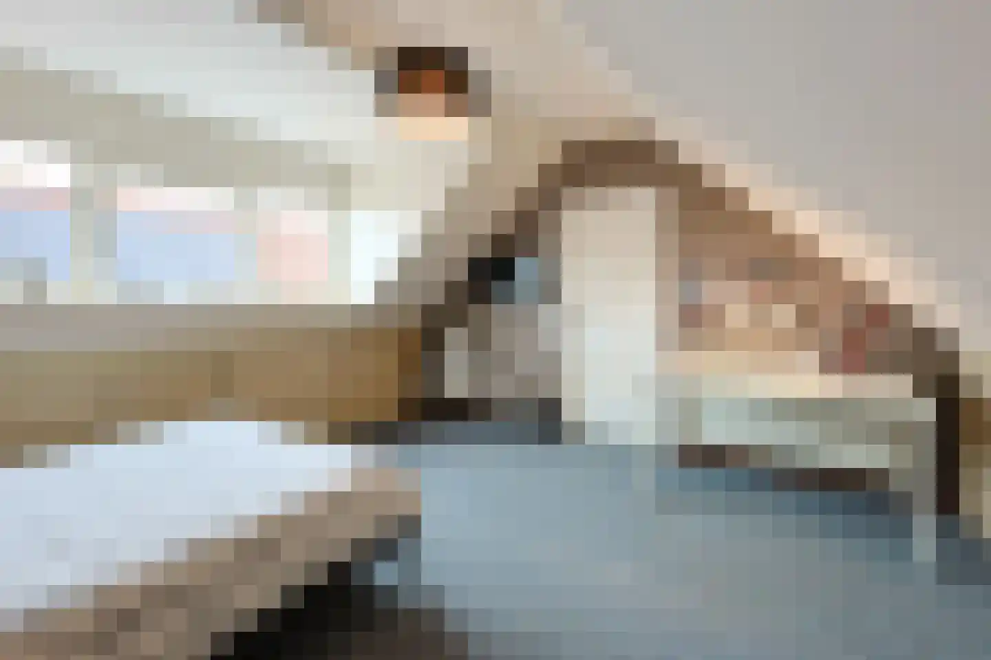 van Wassenhovestraat 52 Eindhoven thumbnail 54