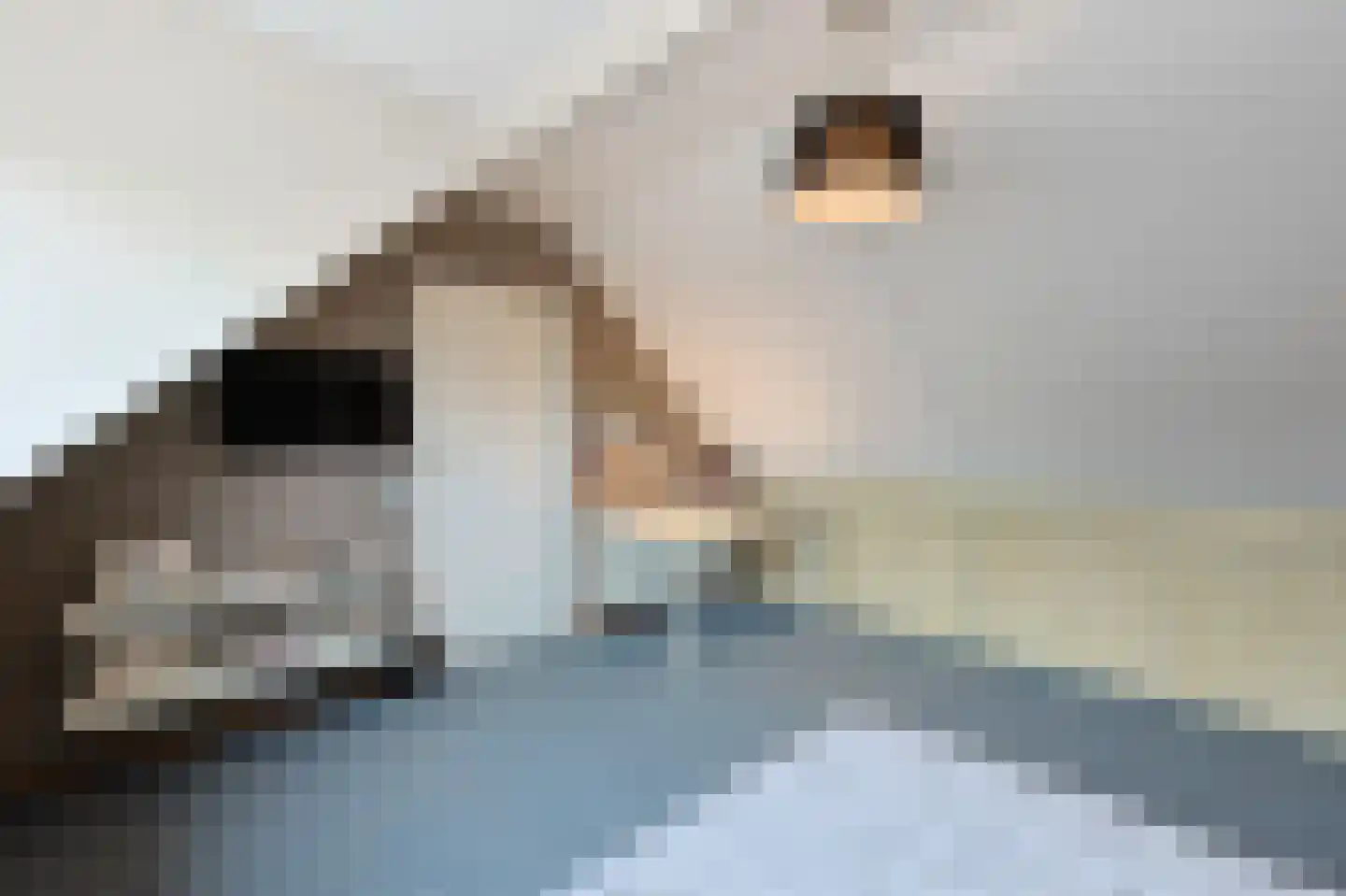 van Wassenhovestraat 52 Eindhoven thumbnail 55