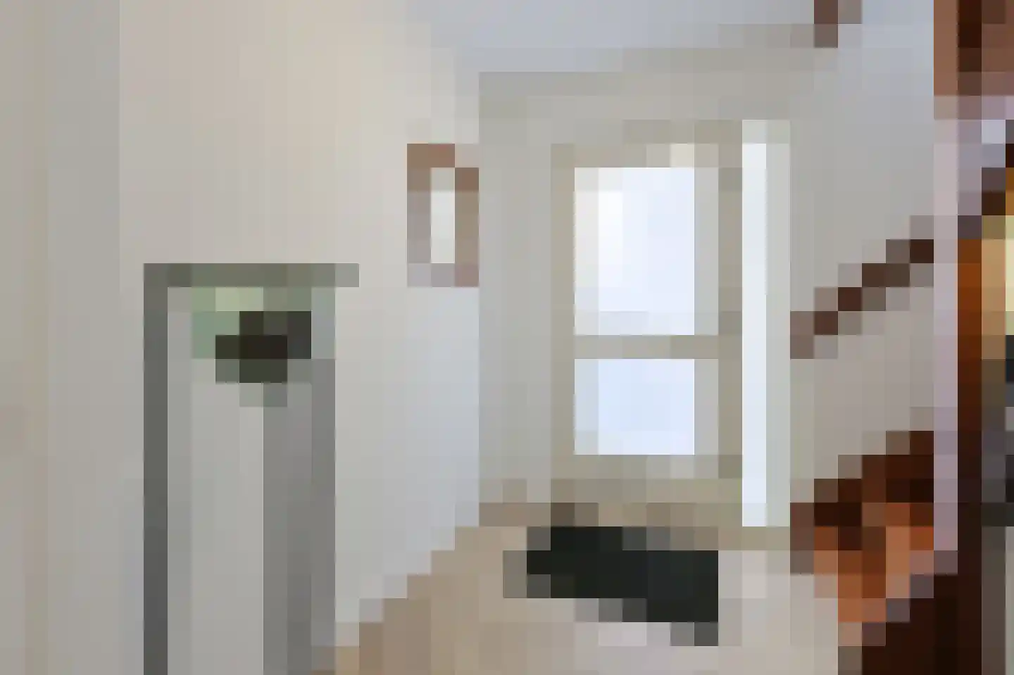 van Wassenhovestraat 52 Eindhoven thumbnail 6