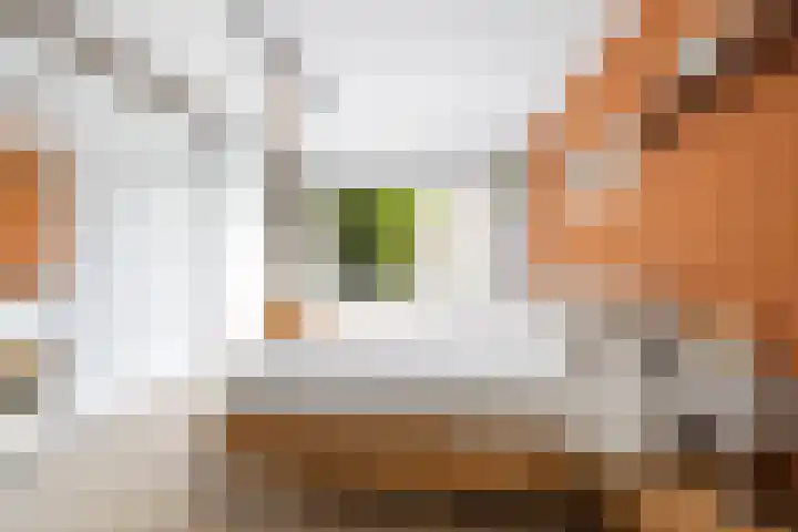 van Watervlietstraat 25 Voorburg thumbnail 17