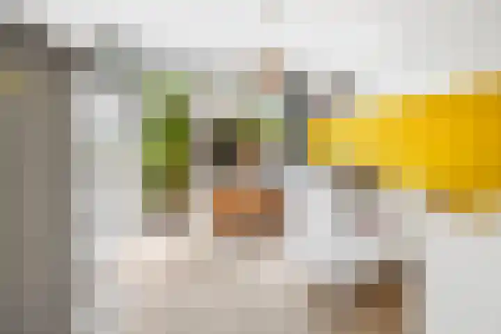 van Watervlietstraat 25 Voorburg thumbnail 18