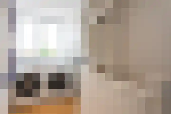 van Watervlietstraat 28 Voorburg thumbnail 33