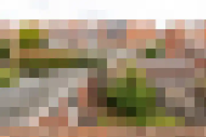van Watervlietstraat 28 Voorburg thumbnail 43