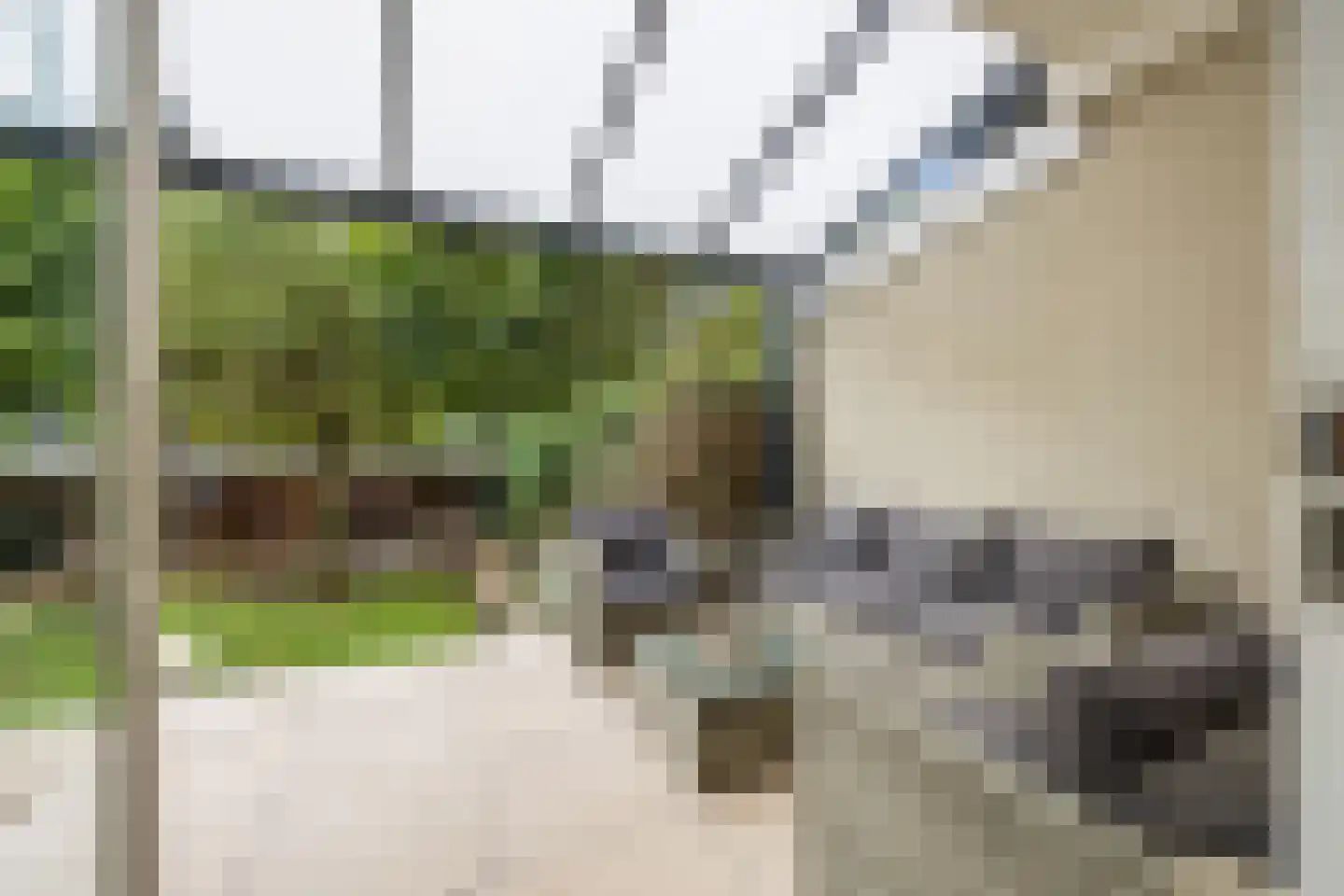van Watervlietstraat 31 Voorburg thumbnail 16