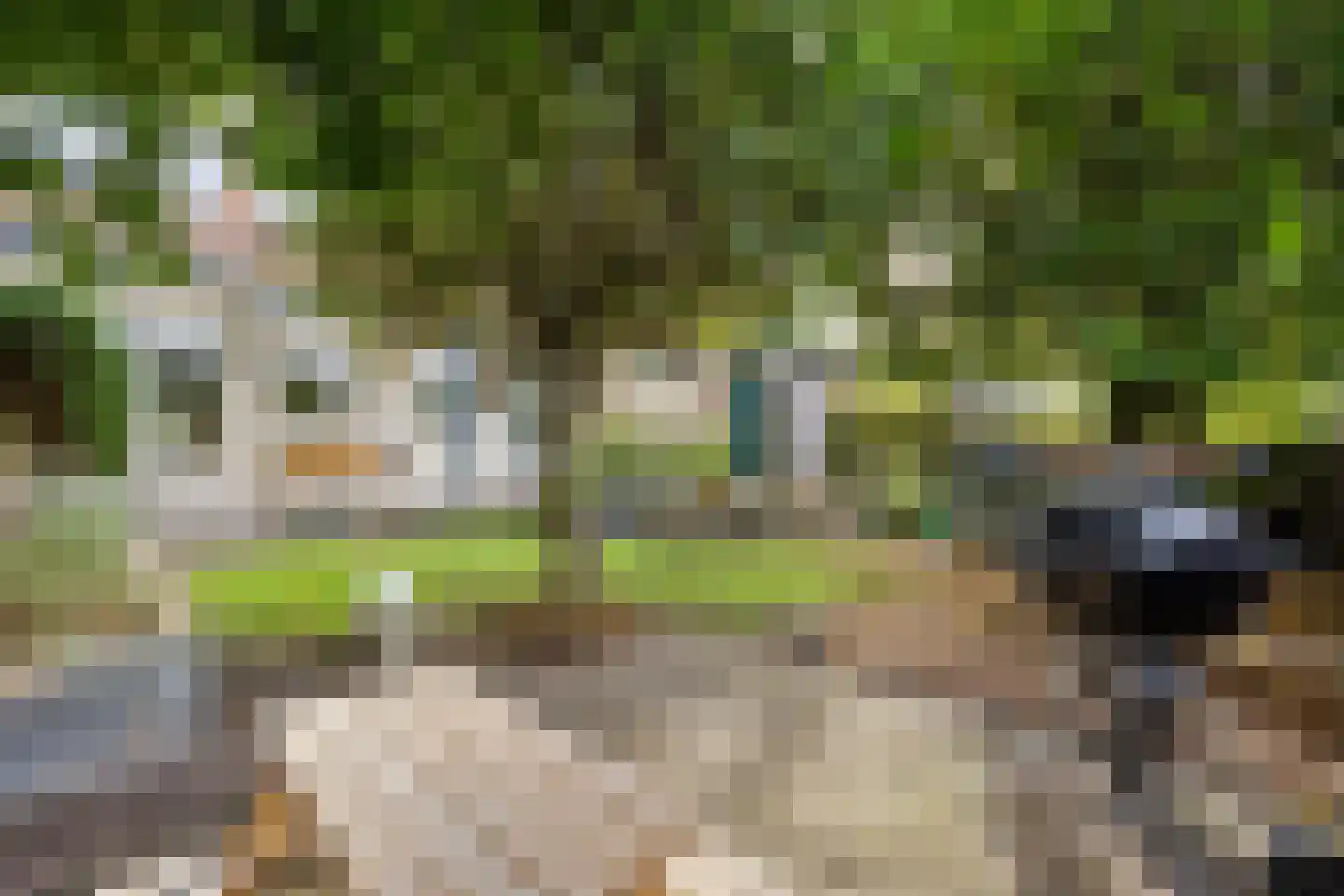 van Watervlietstraat 31 Voorburg thumbnail 23