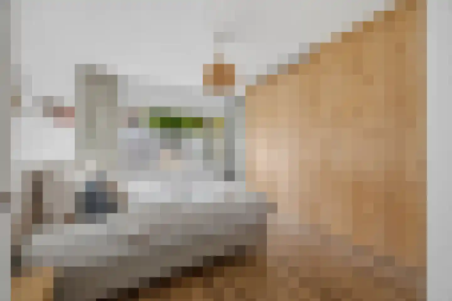 van Watervlietstraat 31 Voorburg thumbnail 27