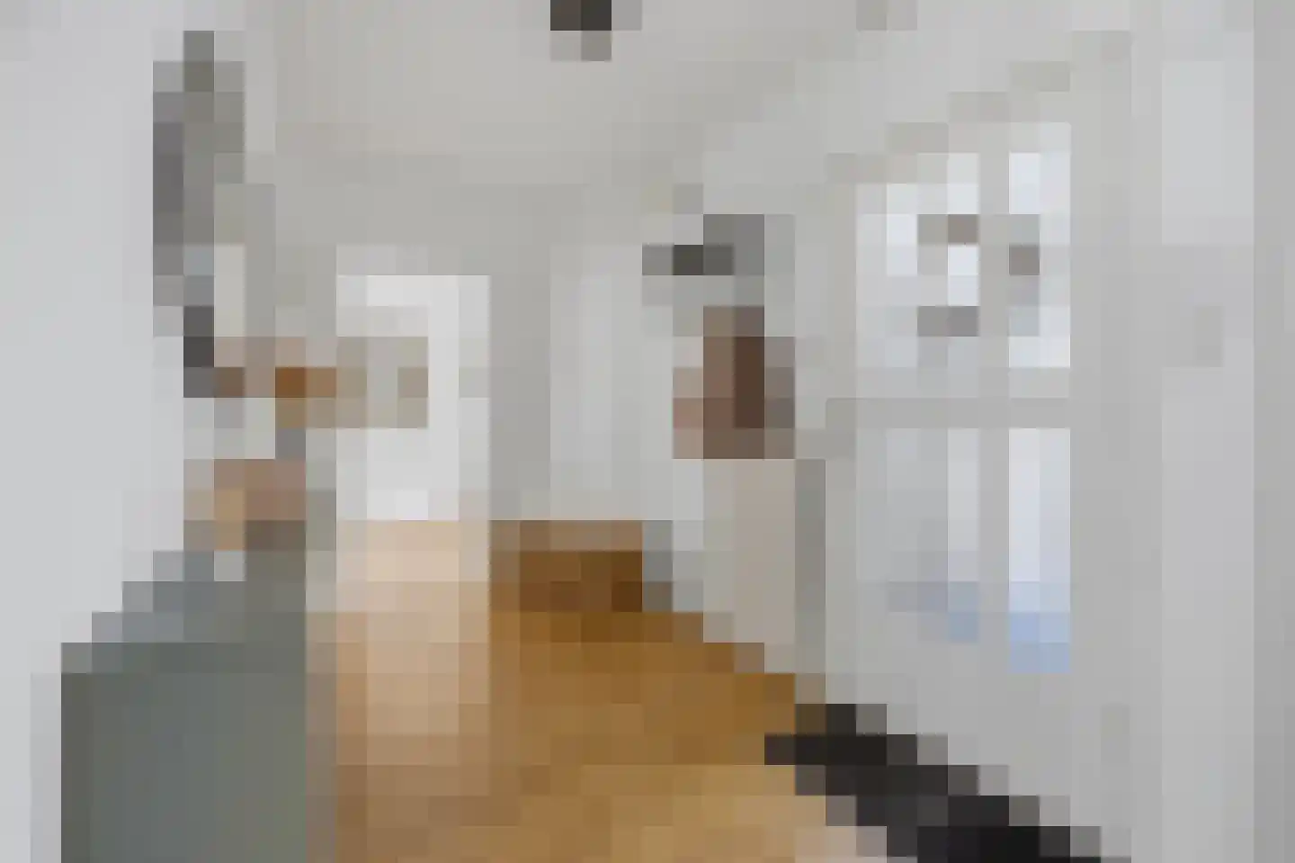 van Watervlietstraat 31 Voorburg thumbnail 7