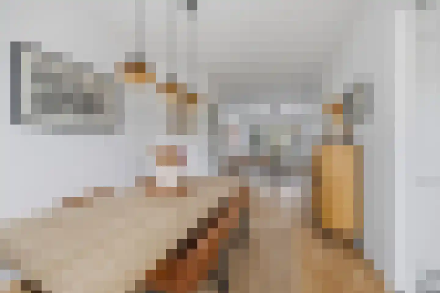 van Watervlietstraat 31 Voorburg thumbnail 9