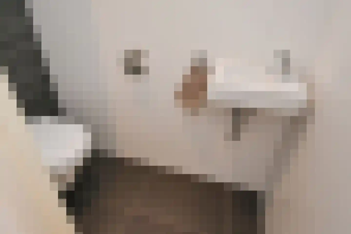 van Watervlietstraat 34 Voorburg thumbnail 17