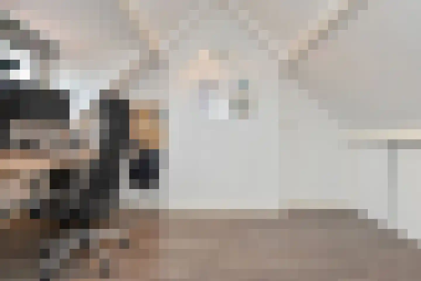 van Watervlietstraat 34 Voorburg thumbnail 30