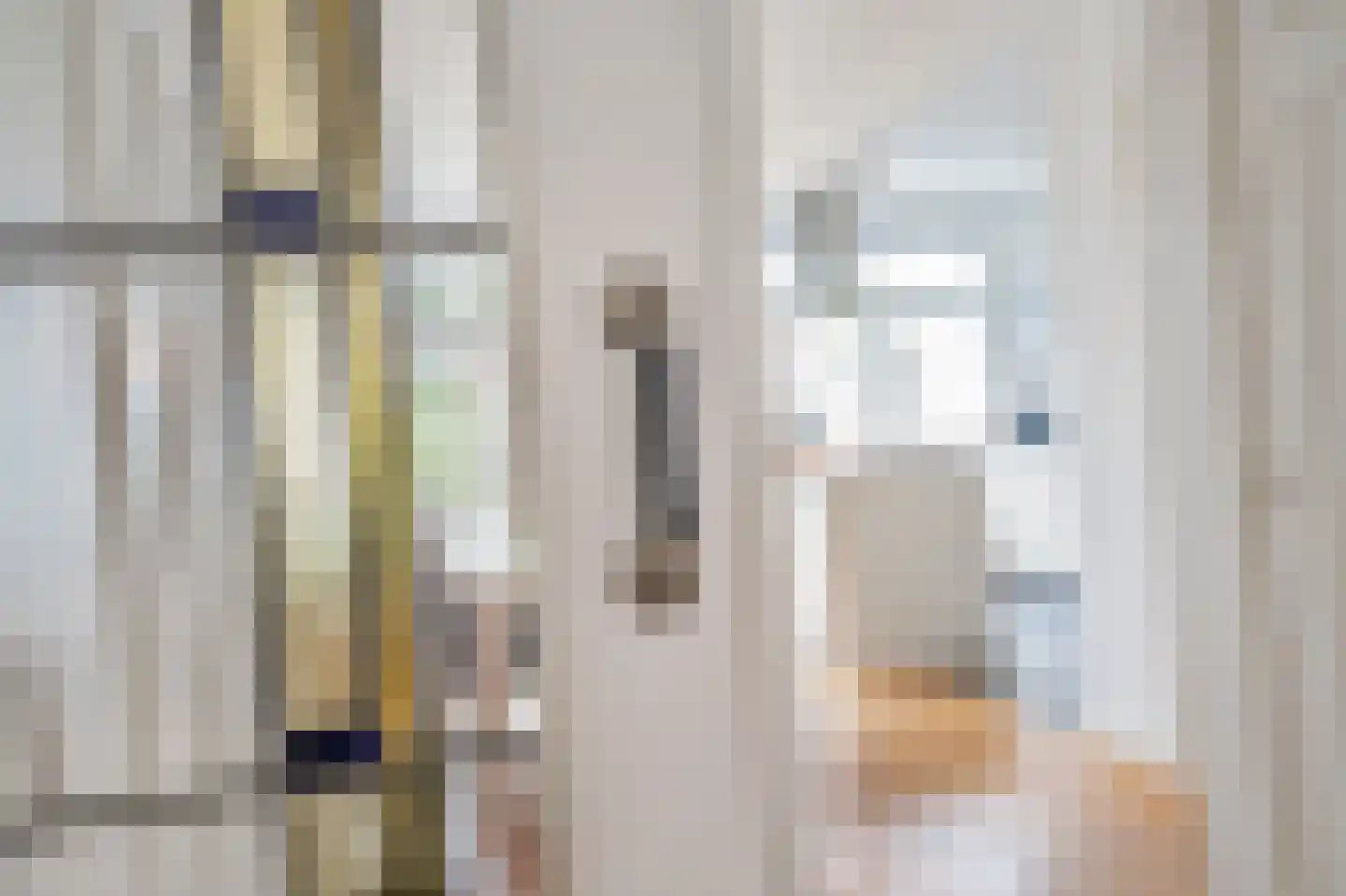 van Watervlietstraat 61 Voorburg thumbnail 13