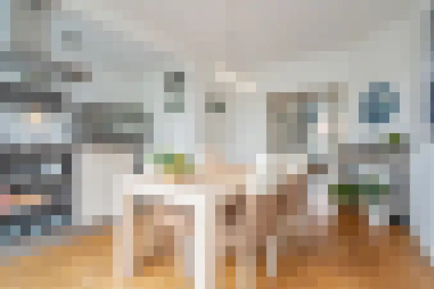 van Watervlietstraat 61 Voorburg thumbnail 17