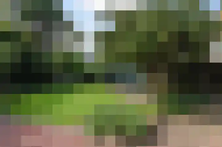 van Watervlietstraat 65 Voorburg thumbnail 5