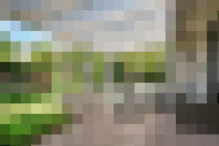 Van Waverenstraat 13 Hillegom thumbnail 10