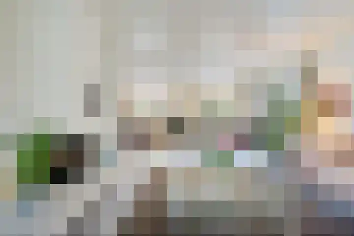 Van Waverenstraat 13 Hillegom thumbnail 11