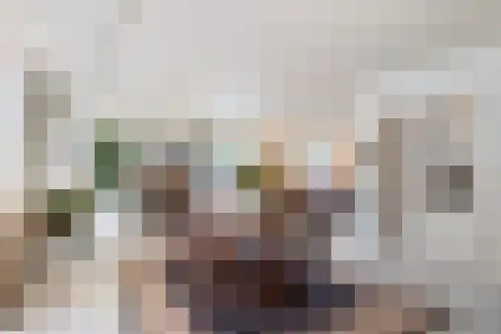 Van Waverenstraat 13 Hillegom thumbnail 12