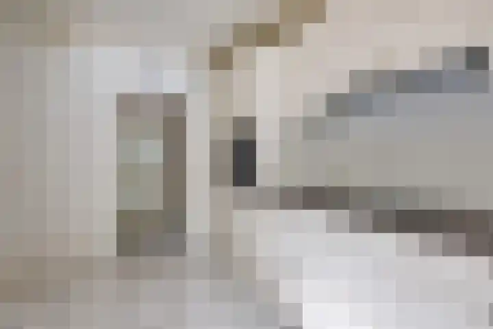 Van Waverenstraat 13 Hillegom thumbnail 19
