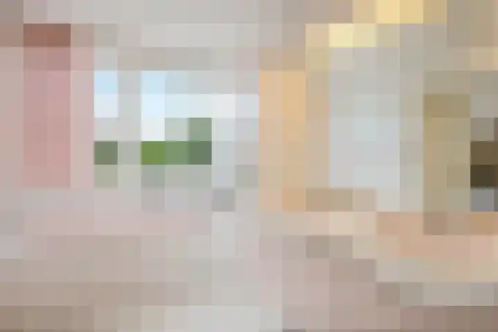 Van Waverenstraat 13 Hillegom thumbnail 27