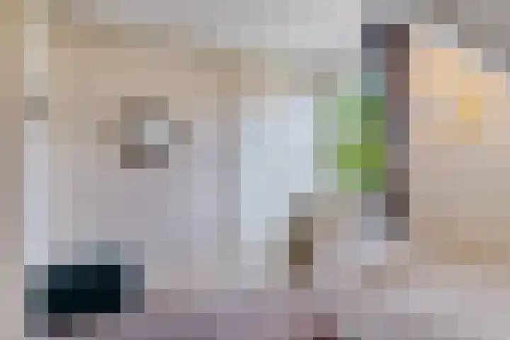 Van Waverenstraat 13 Hillegom thumbnail 33
