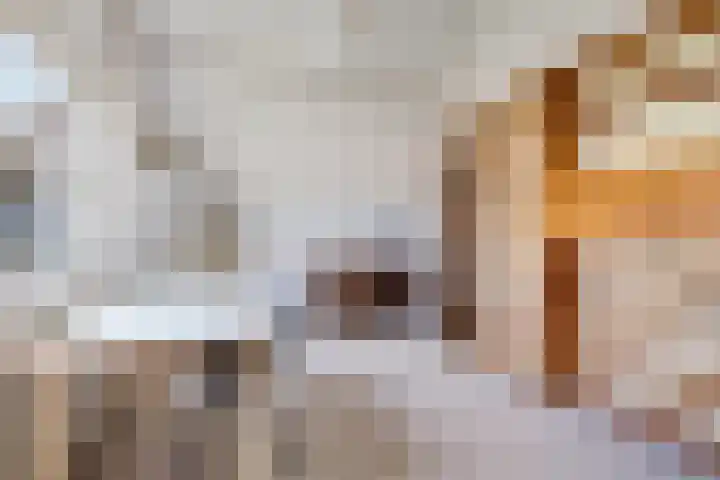 Van Waverenstraat 13 Hillegom thumbnail 35