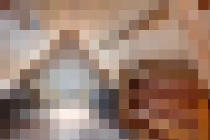 Van Waverenstraat 13 Hillegom thumbnail 38