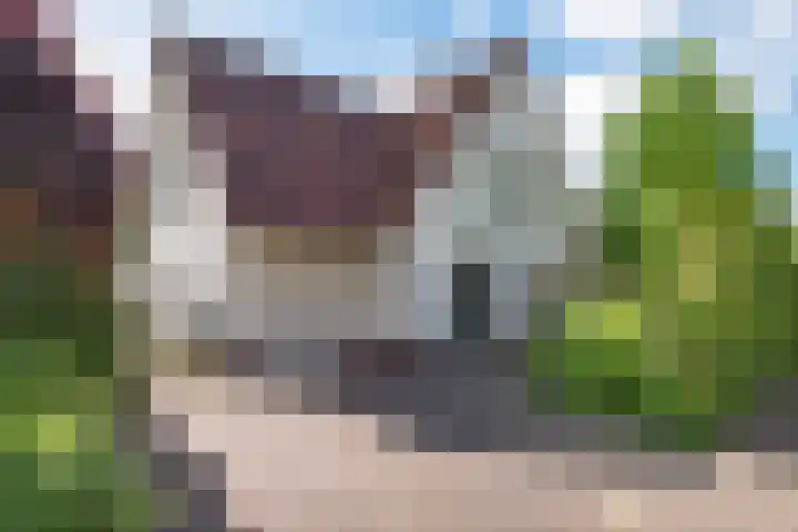 Van Waverenstraat 13 Hillegom thumbnail 40