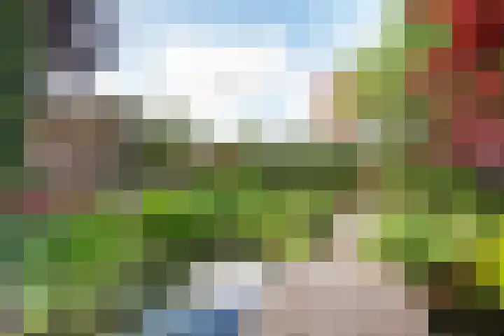 Van Waverenstraat 13 Hillegom thumbnail 45