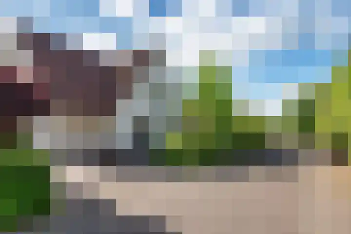 Van Waverenstraat 13 Hillegom thumbnail 50