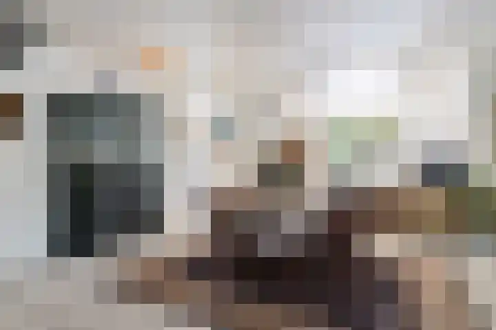 Van Waverenstraat 13 Hillegom thumbnail 7