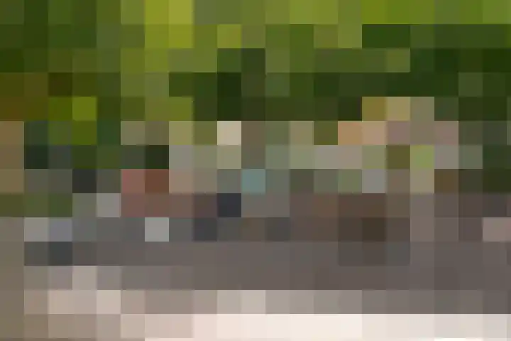 van Weedestraat 201 Soest thumbnail 23