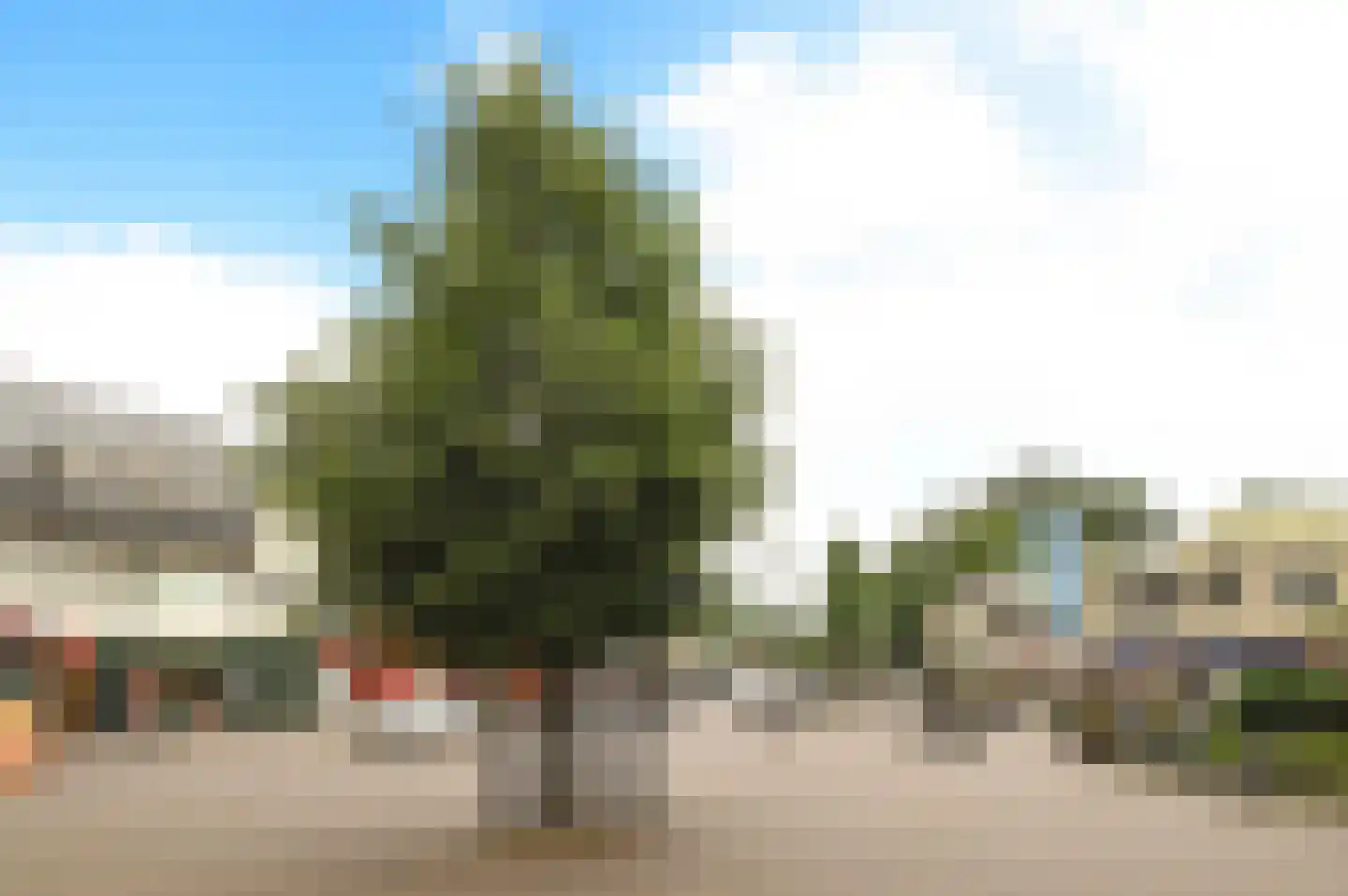 van Weedestraat 205 Soest thumbnail 21