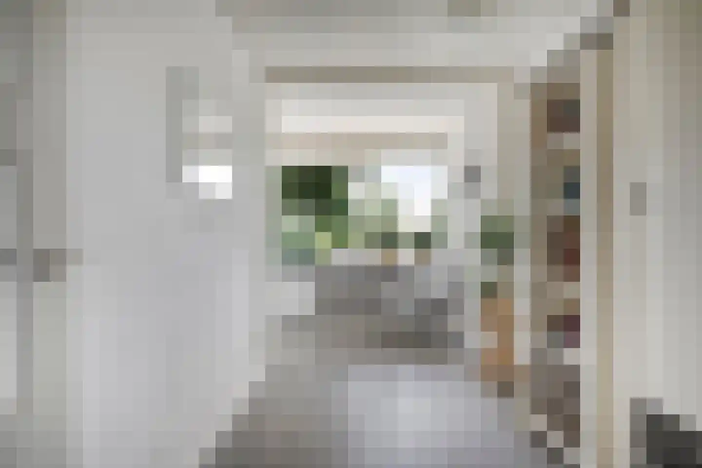 van Weedestraat 65 Soest thumbnail 21