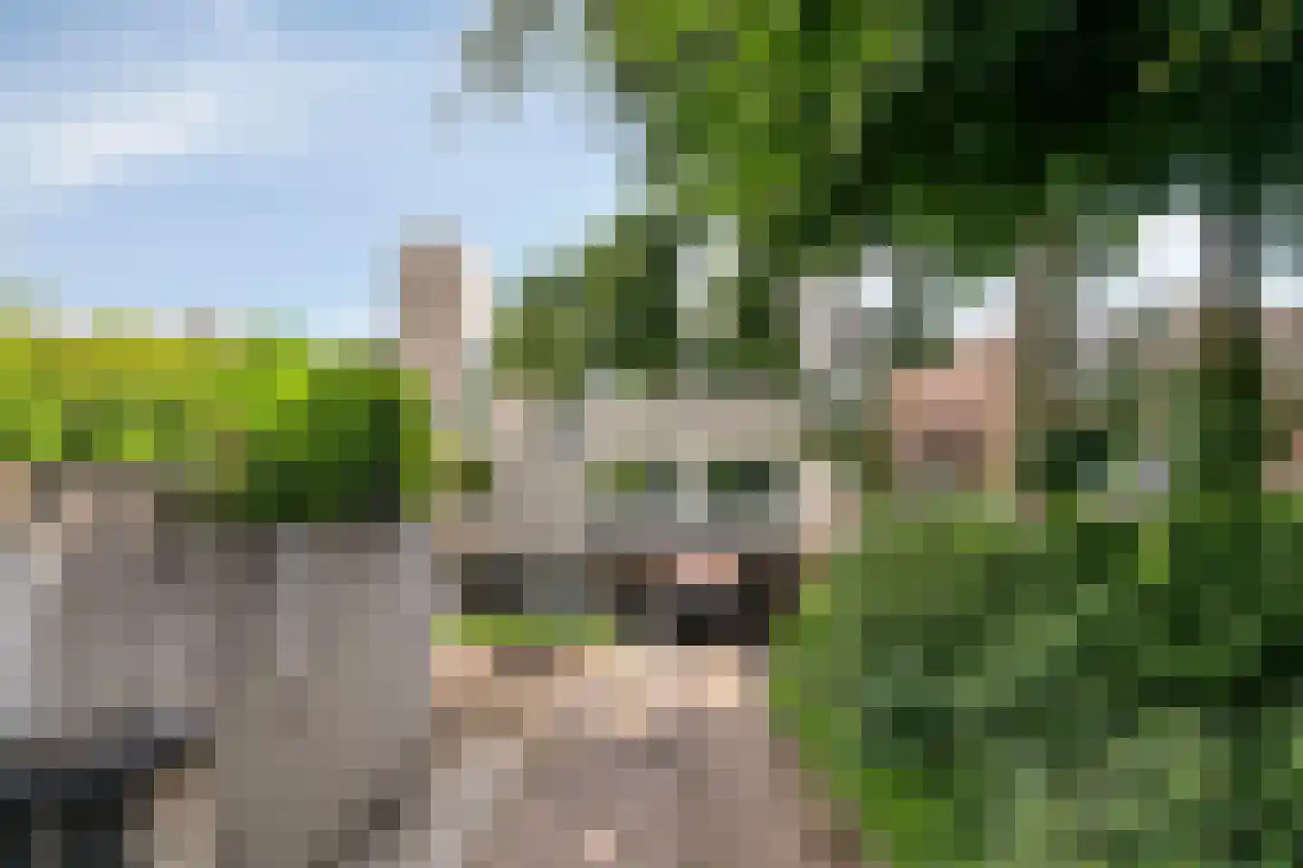 van Weedestraat 65 Soest thumbnail 36