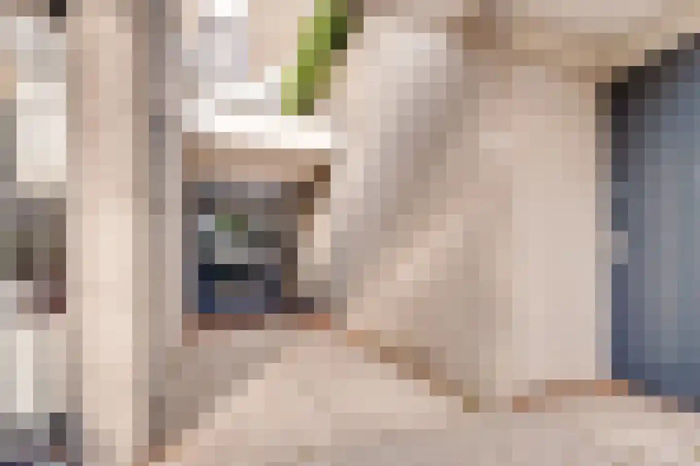 van Weedestraat 77 Soest thumbnail 34