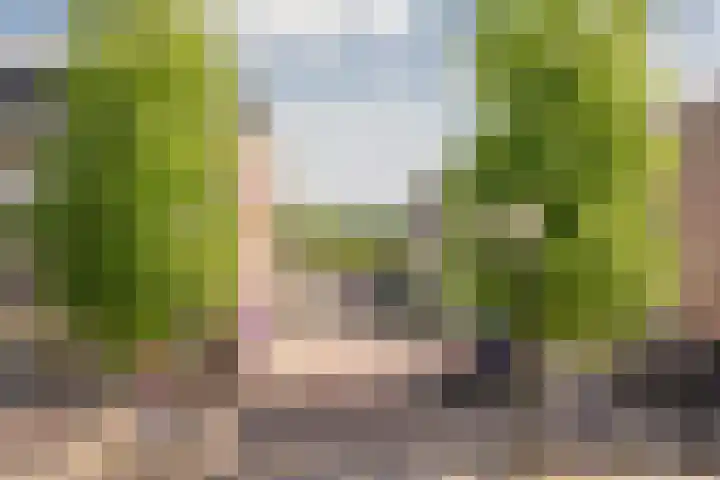 van Weedestraat 77 Soest thumbnail 8
