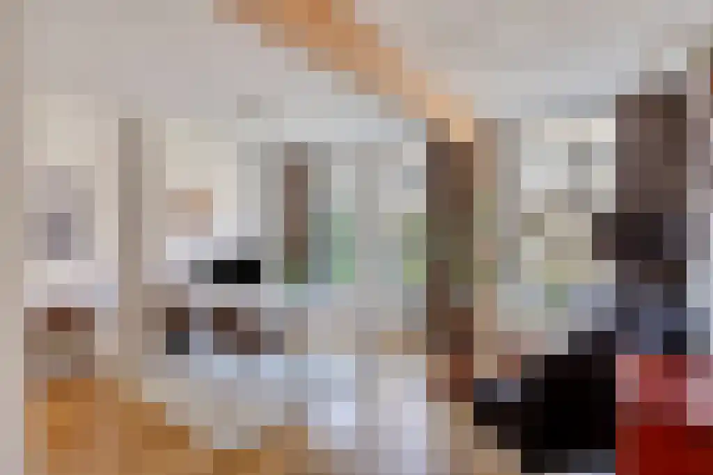 Van Weelstraat 25 Rotterdam thumbnail 5